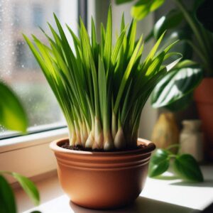 画像に alt 属性が指定されていません。ファイル名: d3e57f51-bb8c-4b9e-9293-c104ed5b322f-300x300.jpg